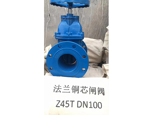上海法蘭銅芯閘閥 Z45T DN100